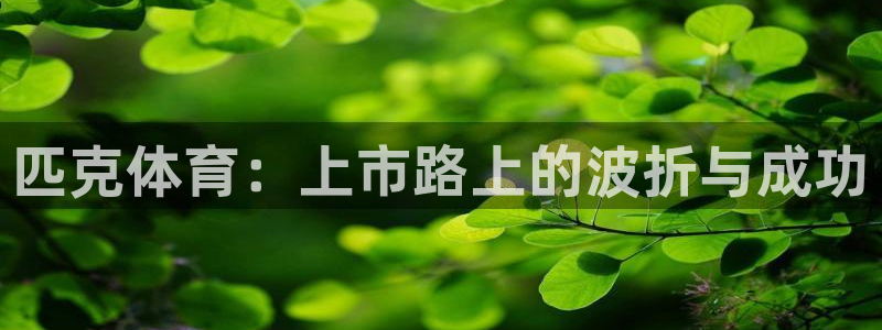 匹克体育：上市路上的波折与成功