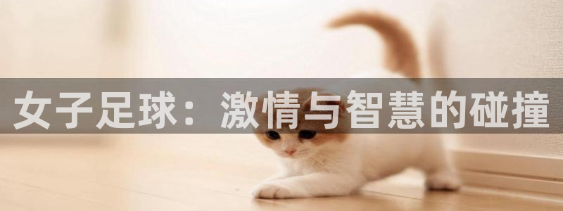 女子足球：激情与智慧的碰撞