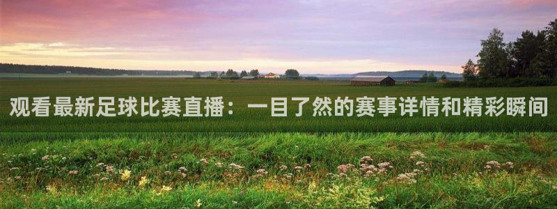观看最新足球比赛直播：一目了然的赛事详情和精彩瞬间