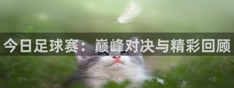 今日足球赛：巅峰对决与精彩回顾