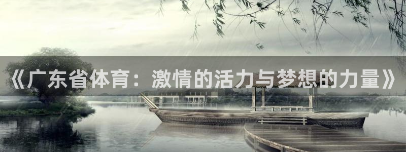 《广东省体育：激情的活力与梦想的力量》
