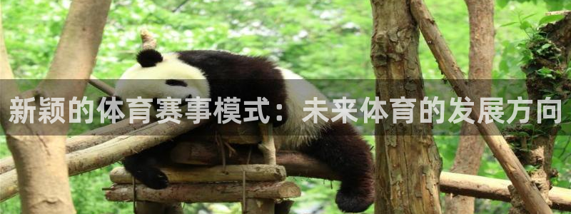 新颖的体育赛事模式：未来体育的发展方向