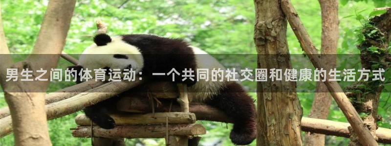 男生之间的体育运动：一个共同的社交圈和健康的生活方式